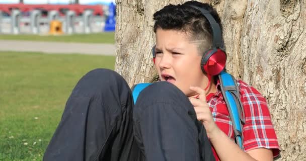 Retrato Niño Preadolescente Lindo Feliz Con Auriculares Sentados Césped Parque — Vídeo de stock