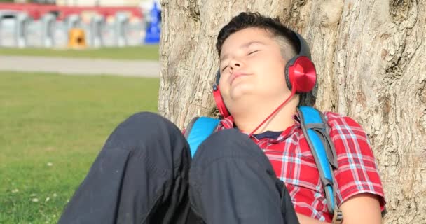 Retrato Niño Con Auriculares Sentado Césped Relajante Escuchando Música Parque — Vídeo de stock