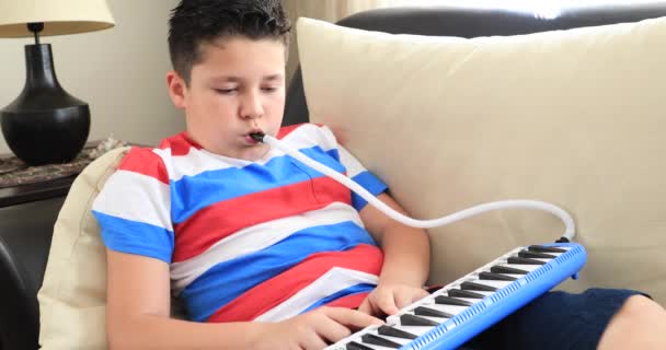 Portrait Happy Schoolboy Playing Melodica Home — Stock Video