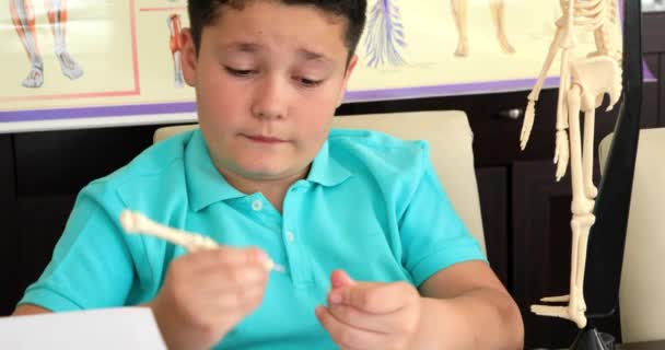 一个可爱的白种男孩的肖像学习生物课 — 图库视频影像