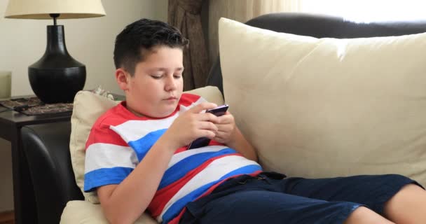 Portrait Happy Preteen Boy Sitting Sofa Using Smartphone Home Technology — Stock Video