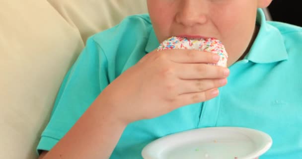 Portret Van Een Gelukkig Preteen Jongen Donut Eten — Stockvideo