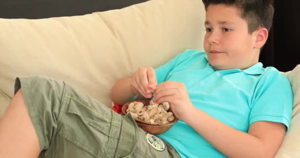 Niño Comiendo Cacahuete Viendo Televisión — Vídeo de stock