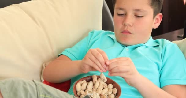 Νεαρό Αγόρι Τρώει Φυστίκι Και Παρακολουθούν Τηλεόραση — Αρχείο Βίντεο