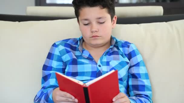 Retrato Niño Escuela Sentado Sofá Leyendo Libro Casa — Vídeos de Stock