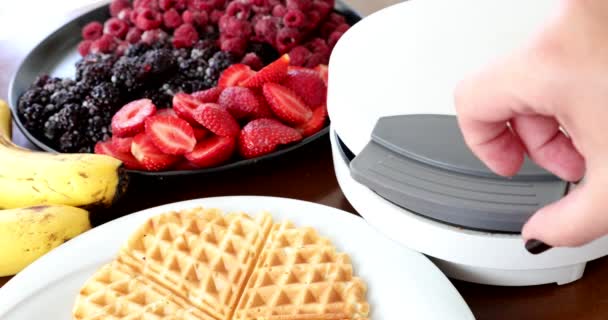 Making Homemade Delicious Waffles Electric Waffle Maker — Stock Video