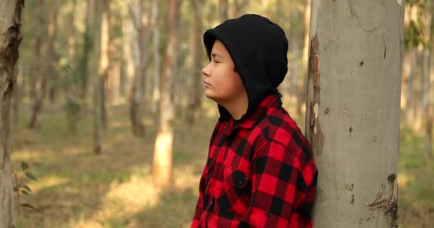 Portret Jednego Smutnego Nastolatka Lesie Wędrującego Patrzącego Kamerę Poważnie — Wideo stockowe