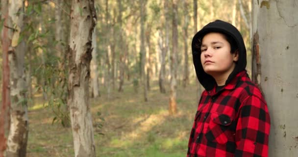 Portrait One Caucasian Teenage Boy Forest Hiking Looking Camera Seriously — Stock Video