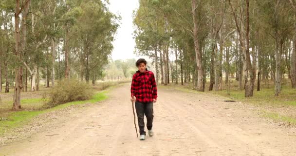 Caminhante Adolescente Caminhando Trilha Floresta Inverno — Vídeo de Stock