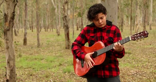 Young Boy Musician Practicing Guitar Nature — Stock Video