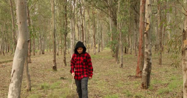 Caminhante Adolescente Caminhando Trilha Floresta Inverno Olhando Para Câmera Sorrindo — Vídeo de Stock