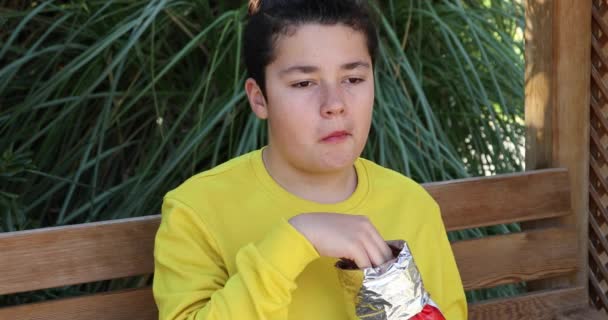 Retrato Adolescente Bonito Sentado Banco Parque Comendo Batatas Fritas Parque — Vídeo de Stock