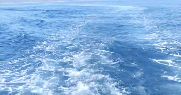 Svegliati Nell Oceano Fatto Barca — Video Stock