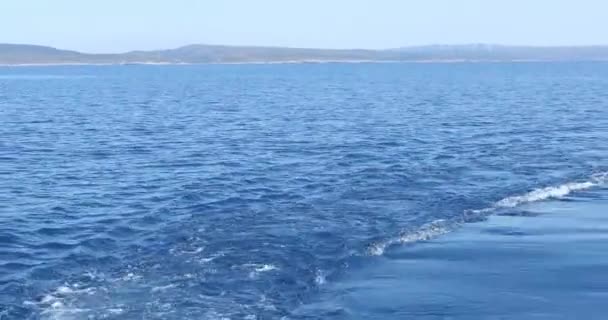 Tekneyle Yapılan Okyanusta Uyanın — Stok video
