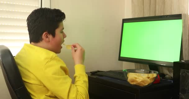 Мальчик Сидит Перед Монитором Компьютера Зеленым Экраном — стоковое видео