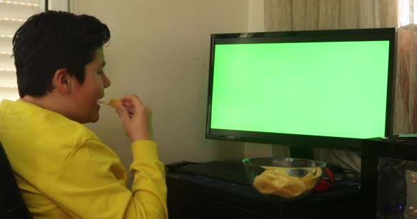 坐在绿色屏幕电脑显示器前的小男孩 — 图库视频影像