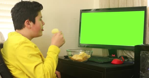 Menino Sentado Frente Monitor Computador Tela Verde — Vídeo de Stock