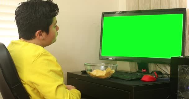 Молодий Хлопчик Сидить Перед Зеленим Екраном Монітор Комп Ютера — стокове відео