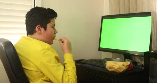 Junge Sitzt Vor Computerbildschirm Mit Grünem Bildschirm — Stockvideo