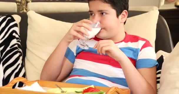 Retrato Niño Bebiendo Vaso Leche — Vídeo de stock