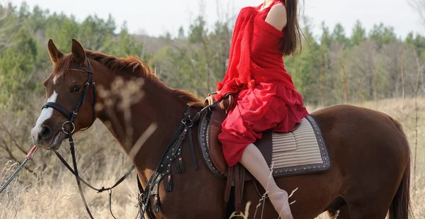 Abgeschnittenes Bild einer Frau mit rotem Schal und Kleid in Kastanienarabien — Stockfoto