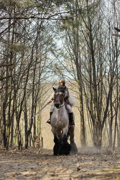 Mujer valiente con armadura sobre caballo belga sosteniendo una espada — Foto de Stock