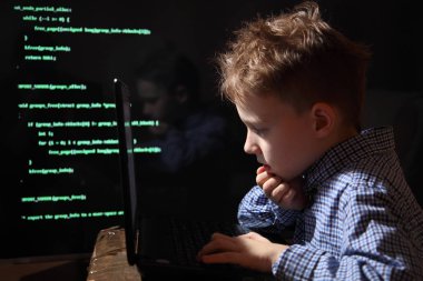 Genç okullu çocuk prodigy - bir hacker. Üstün yetenekli öğrenci bankacılık sisteminin girer.