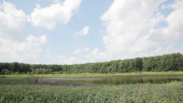 Schmutzwasser in Kläranlage. Fäkalien ablassen. See zum Trocknen von Abwasser. — Stockvideo