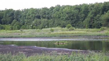 Kanalizasyon kurutma için Lake. Dışkı boşaltmak. Kirli atık su kanalizasyon tesisi. Drenaj sanayi.