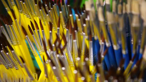 Various paintbrushes collection. School supplies, stationery accessories. Colorful stationery. Stationery store. — Stock Video