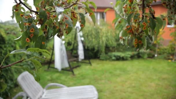 Balanço Decorado Para Uma Cerimônia Casamento Pátio Casa Balanços Casamento — Vídeo de Stock