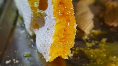 Arıcılık. Geçim arı ürünleri. Balmumu, petek, bal, polen, propolis. Arıcılık ürünleri.