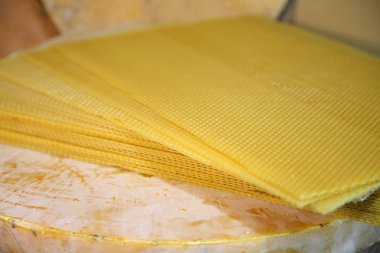 Arıcılık. Geçim arı ürünleri. Balmumu, petek, bal, polen, propolis. Arıcılık ürünleri.