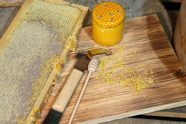 Biodlingen Produkter Försörjning Bin Bivax Honeycomb Honung Pollen Propolis Produkter — Stockfoto