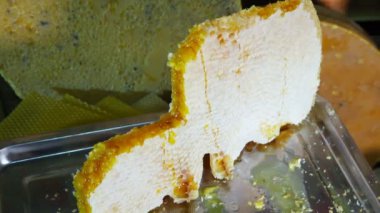 Arıcılık. Geçim arı ürünleri. Balmumu, petek, bal, polen, propolis. Arıcılık ürünleri.