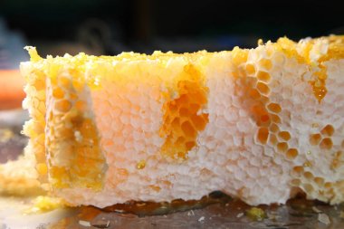 Petek, tatlım. Arıcılık ürünleri.