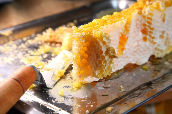 Petek, tatlım. Arıcılık ürünleri.