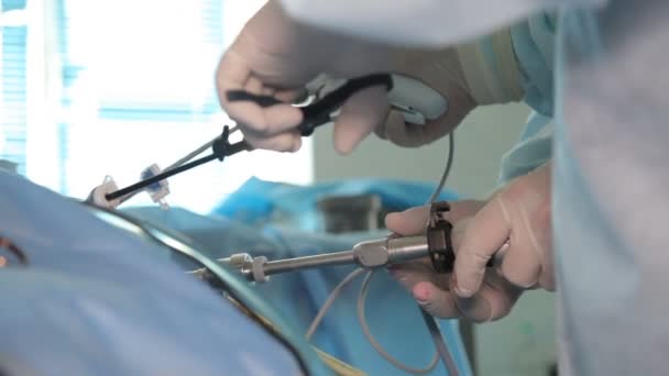 Remoção Tumor Maligno Rim Ressecção Rim Mãos Equipe Cirurgiões Durante — Vídeo de Stock