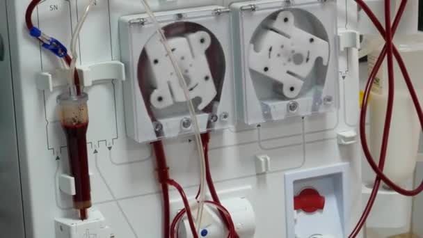 Mogilev Podilsky Ukraine January 2020 Hemodialysis Patient Undergoes Hemodialysis Clinic — 비디오