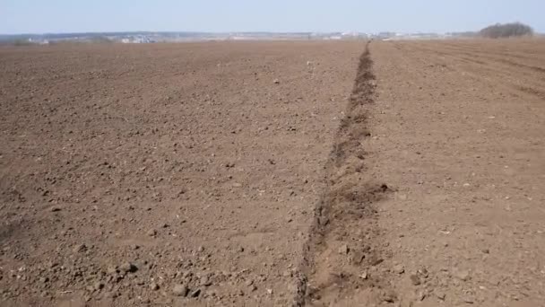 Máquinas Agrícolas Porcas Tractor Semeia Milho Semeadura Primavera Trator Moderno — Vídeo de Stock