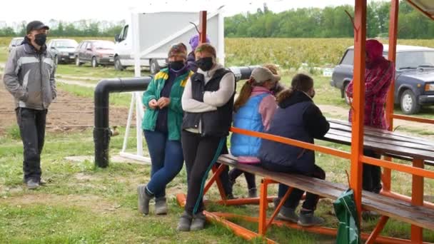 Murovani Kurylivtsi Ucrânia Maio 2020 Agricultor Distribui Mudas Cereja Para — Vídeo de Stock