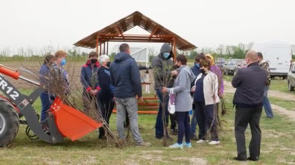 Murovani Kurylivtsi Ukraine May 2020 Farmer Distributes Cherry Seedlings Fellow — ストック動画
