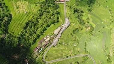 Bali, Endonezya inanılmaz bir manzara pirinç alan hava video