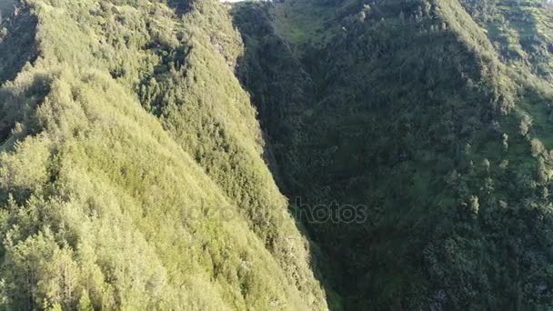 Luchtfoto vlucht over Cemoro Lawang, — Stockvideo