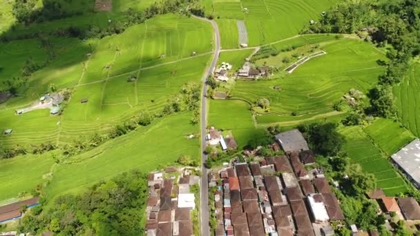 Video udara dalam bentang alam sawah yang menakjubkan di Bali, Indonesia — Stok Video