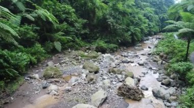 Hava dron görüntüleri tropikal nehir. Ada Bali. 
