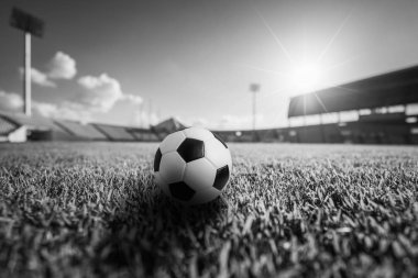 Futbol topu Futbol Stadyumu çimenlerin üzerinde