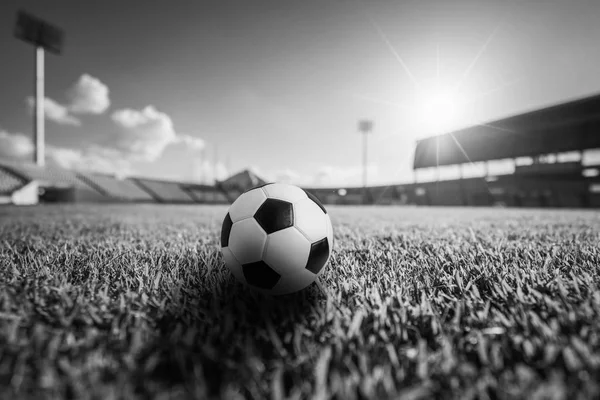 Minge de fotbal pe iarbă pe stadionul de fotbal — Fotografie, imagine de stoc