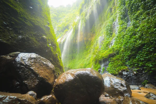 Belle cascade dans le Java oriental connue sous le nom de Madakaripura Falls — Photo