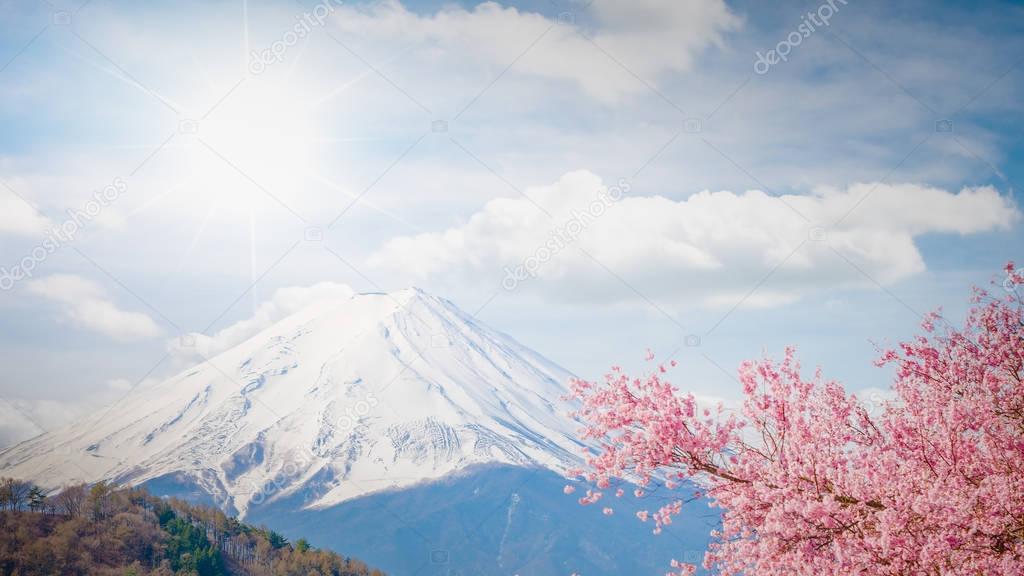 Mountain Fuji in spring , Cherry blossom Sakura and Fuji at Kawa